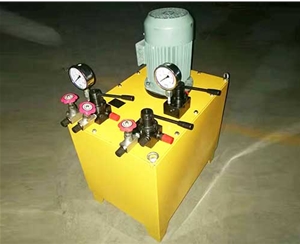 重庆非标电动泵生产