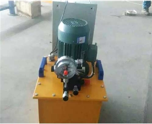 重庆标准电动泵供应生产